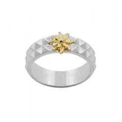 Anillo Aiora Plata Eguzkilore Dorado