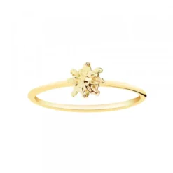 Anillo Eguzkilore Fino Oro 18kt.