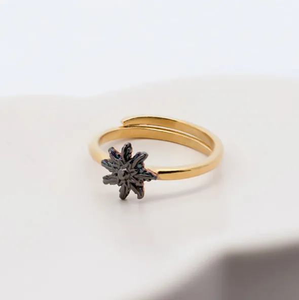 Anillo Ghor Plata Dorada y Eguzkilore Rutenio