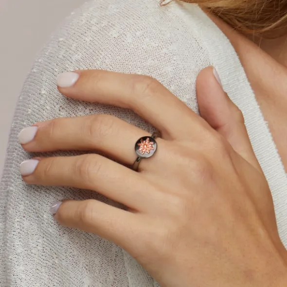 Anillo R-Chic Eguzkilore de Plata Rosa
