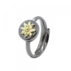 Anillo R-Chic Eguzkilore Plata Dorada