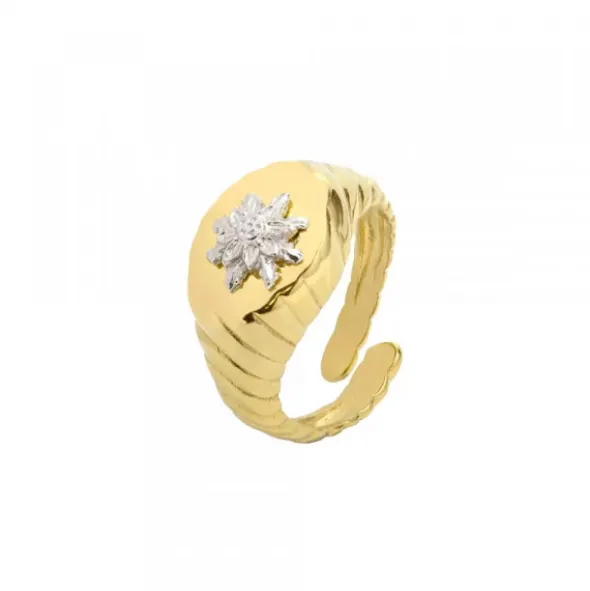 Anillo Sello Grecia Plata Dorada