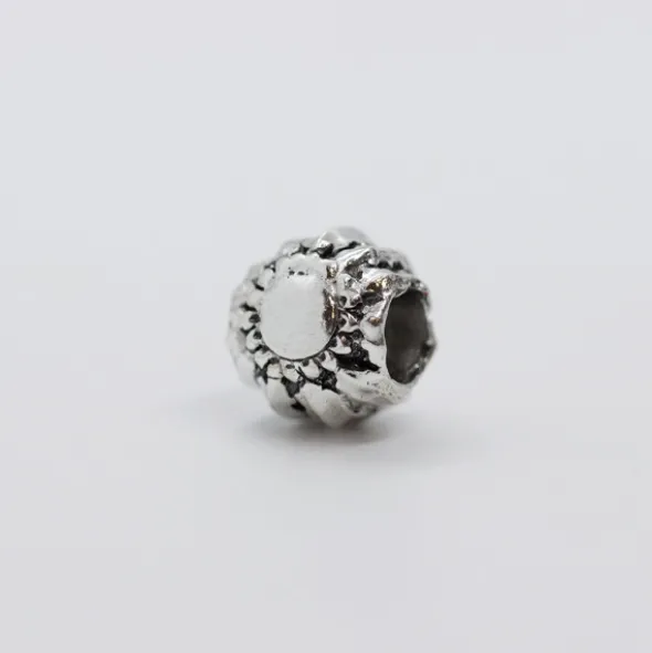 Charm Eguzkilore Redondo Plata