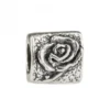Charm Sant Jordi y La Rosa de Plata