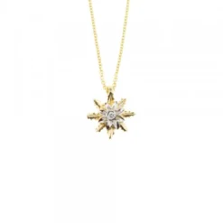 Colgante Eguzkilore Oro Bicolor y Brillante 9,5mm