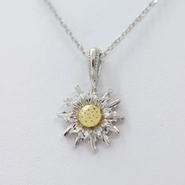 Colgante Eguzkilore Plata Bicolor 14mm
