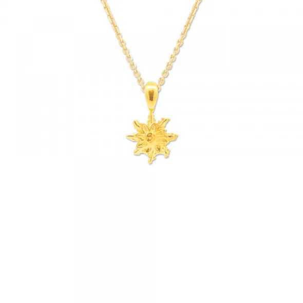 Colgante Eguzkilore Plata Dorada 9mm