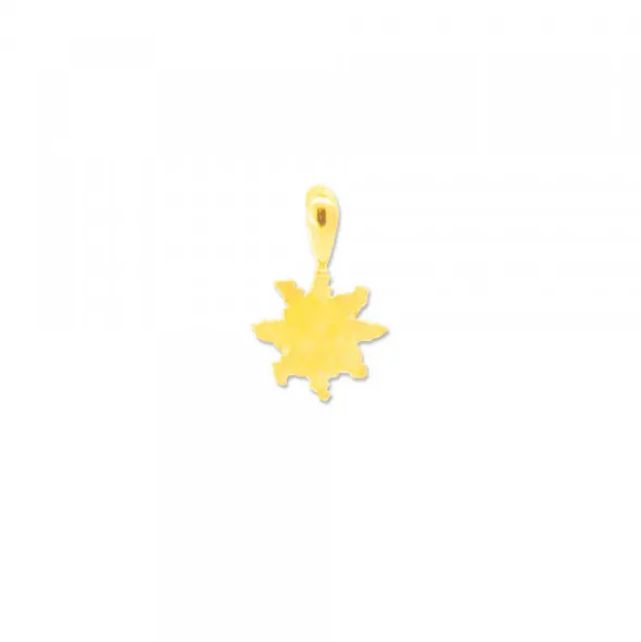 Colgante Eguzkilore Plata Dorada 9mm