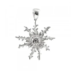 Colgante Eguzkilore Plata 37mm