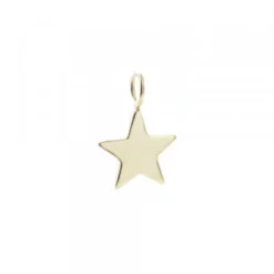 Colgante Estrella de Plata Dorada