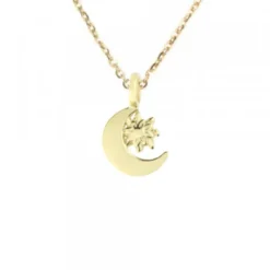 Colgante Luna y Eguzkilore Plata Dorada