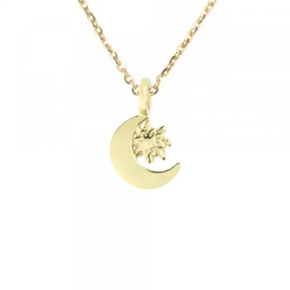 Colgante Luna y Eguzkilore Plata Dorada
