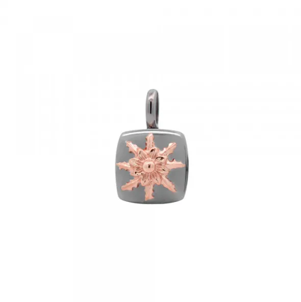 Colgante Q2 Plata Negra y Eguzkilore Rosa