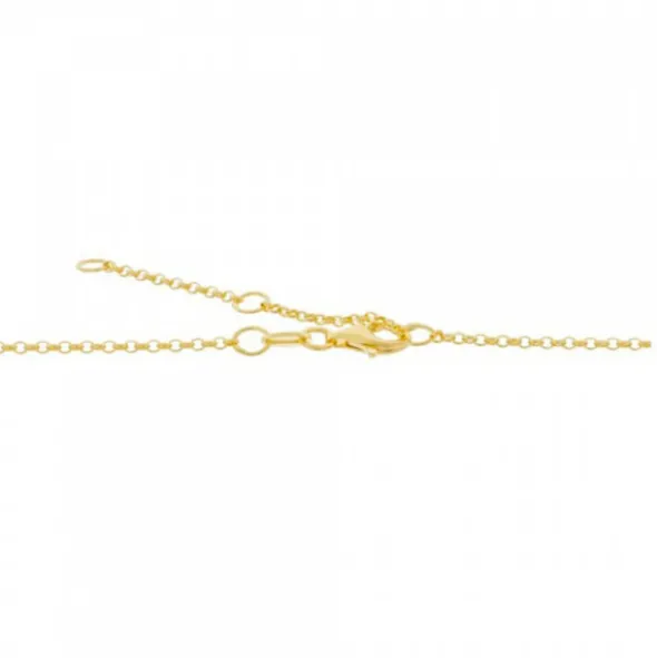 Collar Ama de Plata Dorada