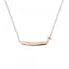 Gargantilla Identidad Plata Rosa Personalizable