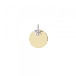 Medalla Oro y Eguzkilore Oro Blanco 14mm