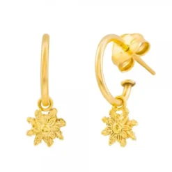Pendientes Aro Eguzkilore Plata Dorada 20mm