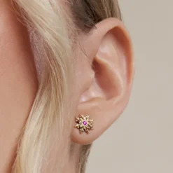 Pendientes Basic Colors Plata Dorada y Amatista
