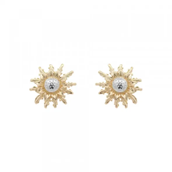 Pendientes Eguzkilore Oro Bicolor 14mm