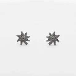 Pendientes Eguzkilore Plata Dorada y Rutenio