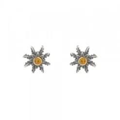 Pendientes Eguzkilore Plata Envejecida Dorada y Circonita 12mm
