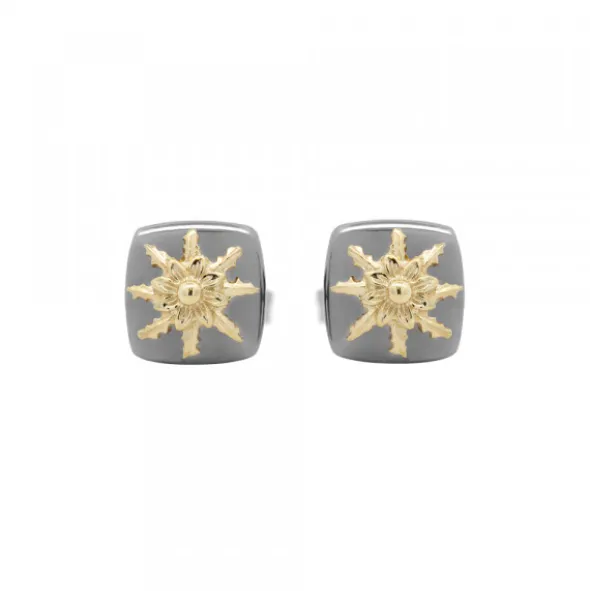 Pendientes Q2 Plata Negra y Eguzkilore Dorado