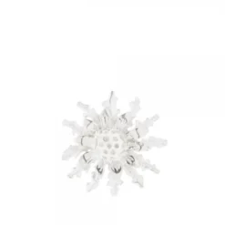 Pin Eguzkilore Plata